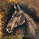 Art - Stallion  Oil on canvas; 15