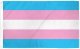 Transgender Flag