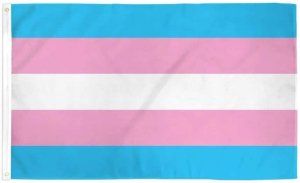 Transgender Flag